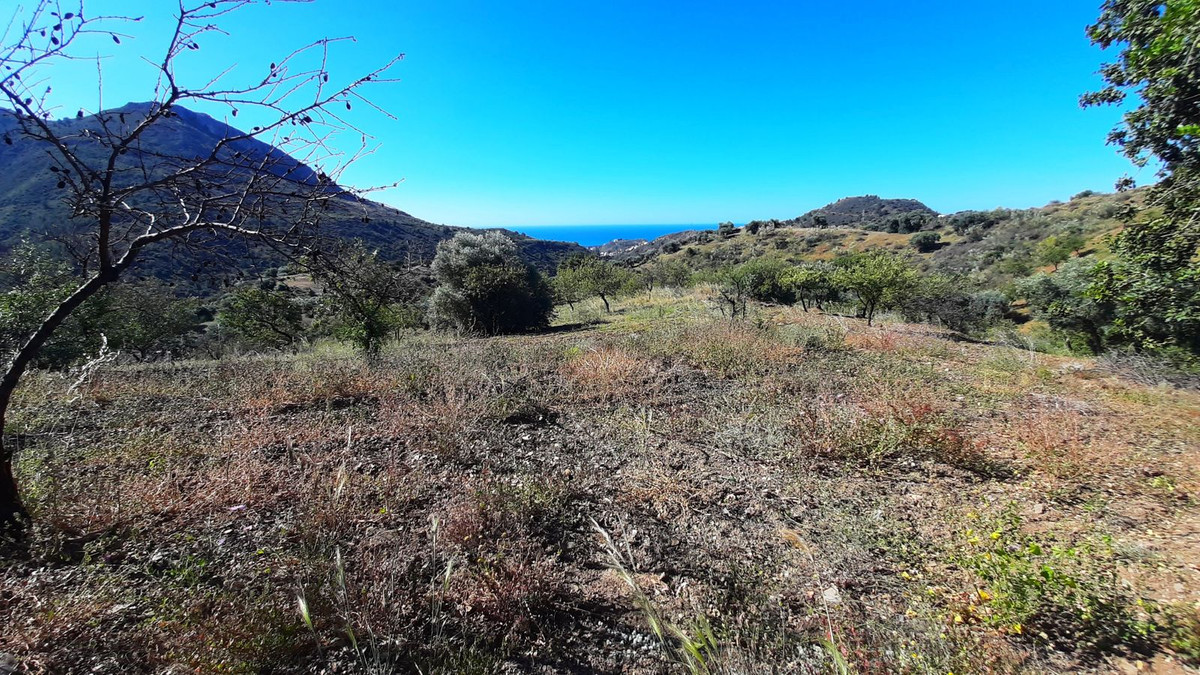 Finca - Cortijo in Málaga Este-9