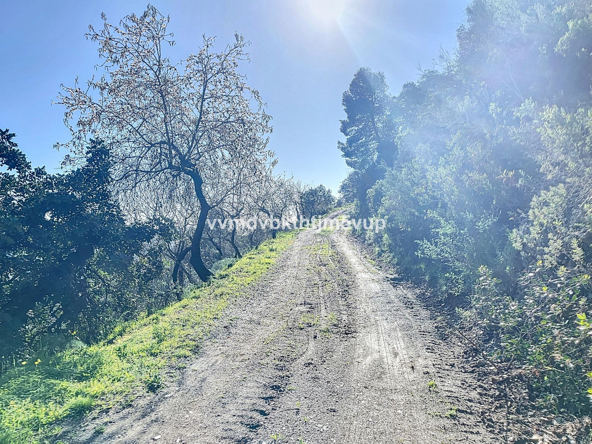 Finca - Cortijo in Montes de Málaga-11