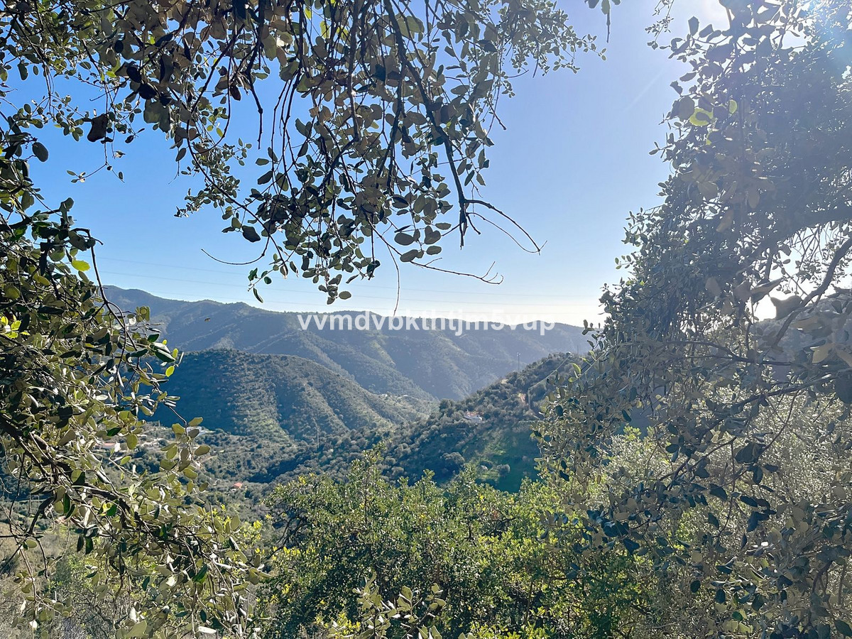 Finca - Cortijo in Montes de Málaga-14