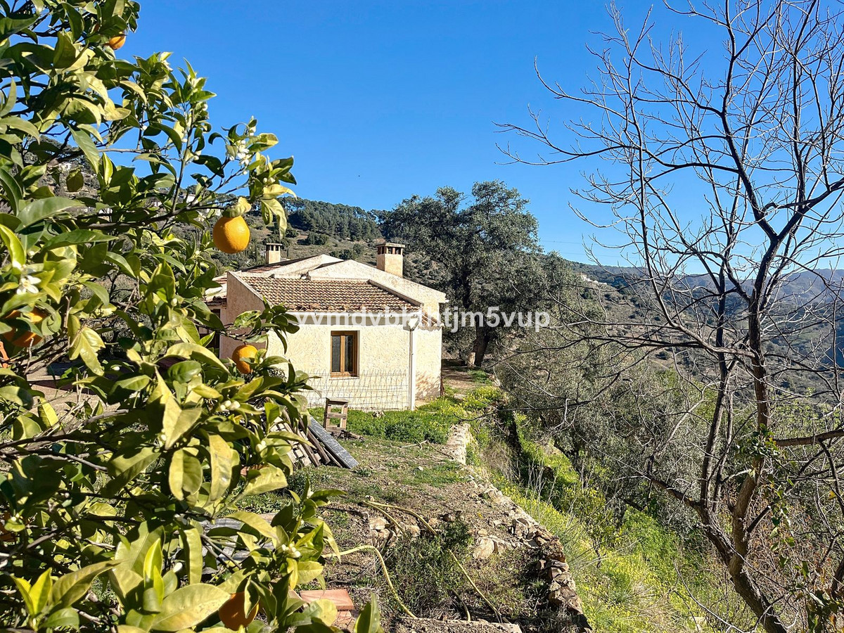 Finca - Cortijo in Montes de Málaga-2