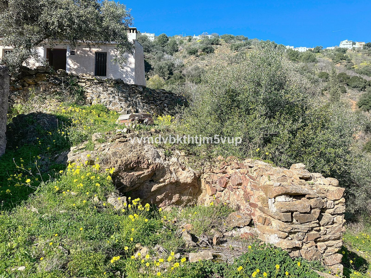 Finca - Cortijo in Montes de Málaga-30