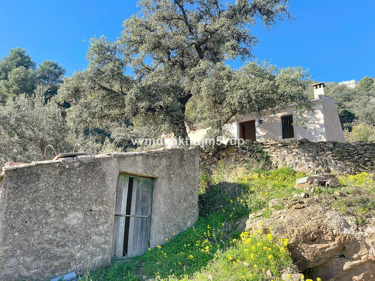 Finca - Cortijo in Montes de Málaga-31