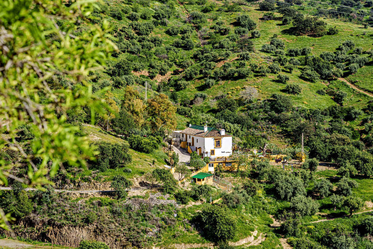 Finca - Cortijo in Málaga Este-2