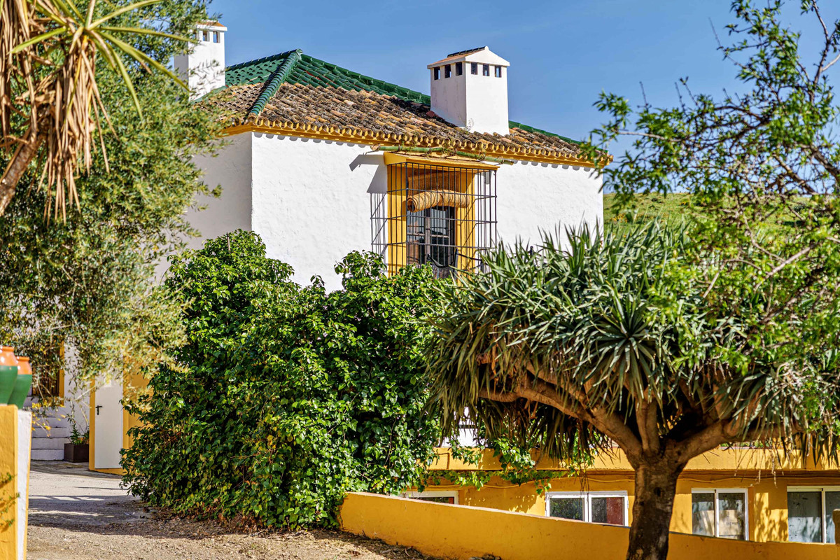 Finca - Cortijo in Málaga Este-45