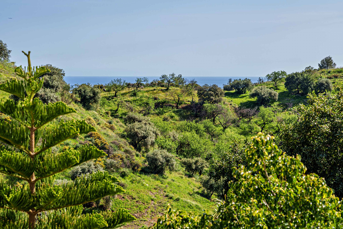 Finca - Cortijo in Málaga Este-46