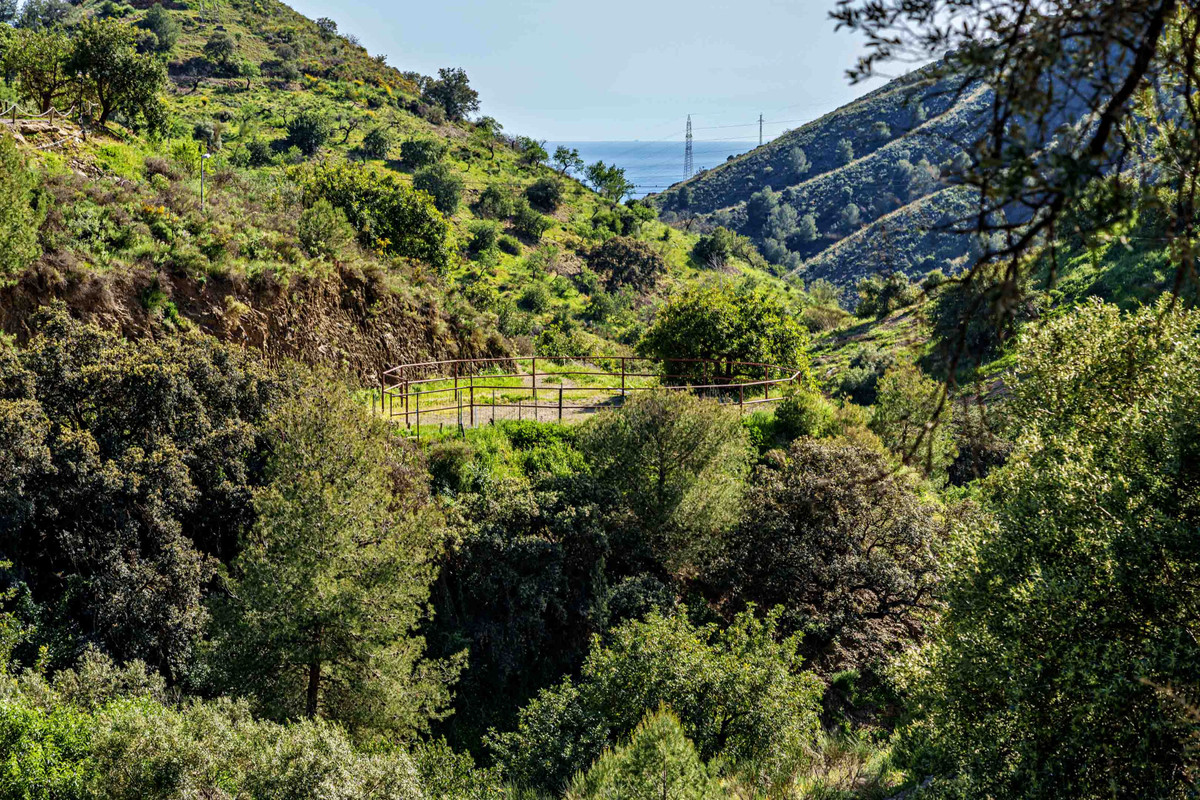 Finca - Cortijo in Málaga Este-47