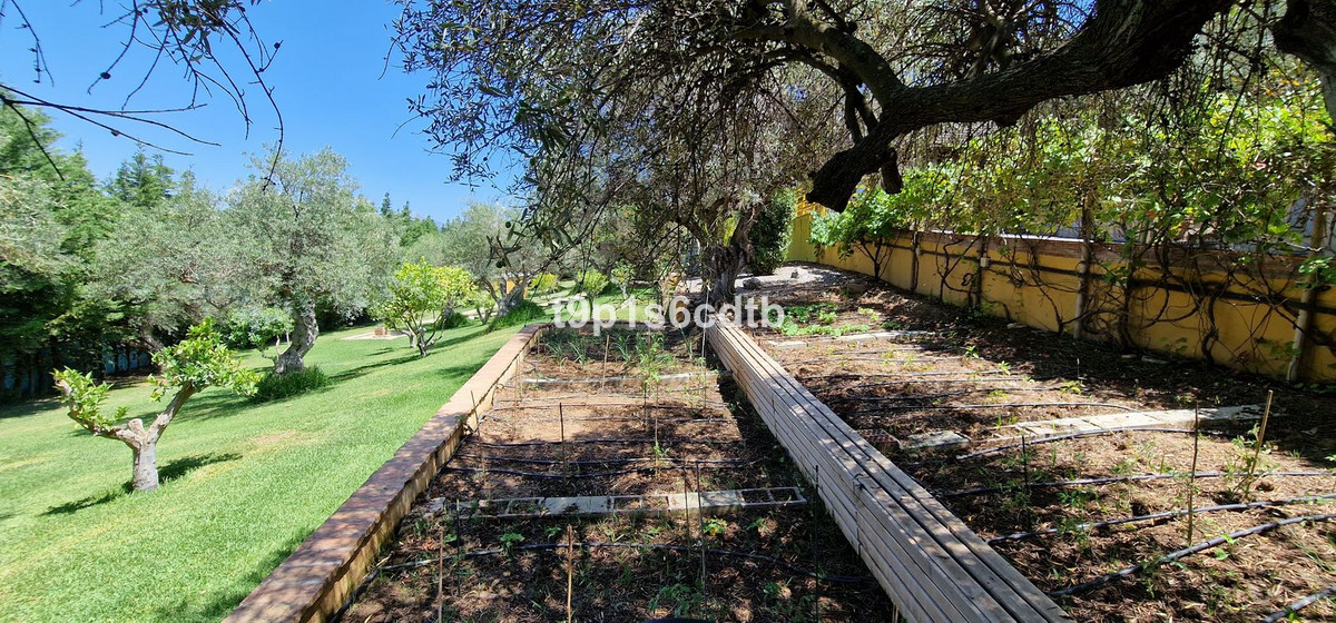 Property main view 76