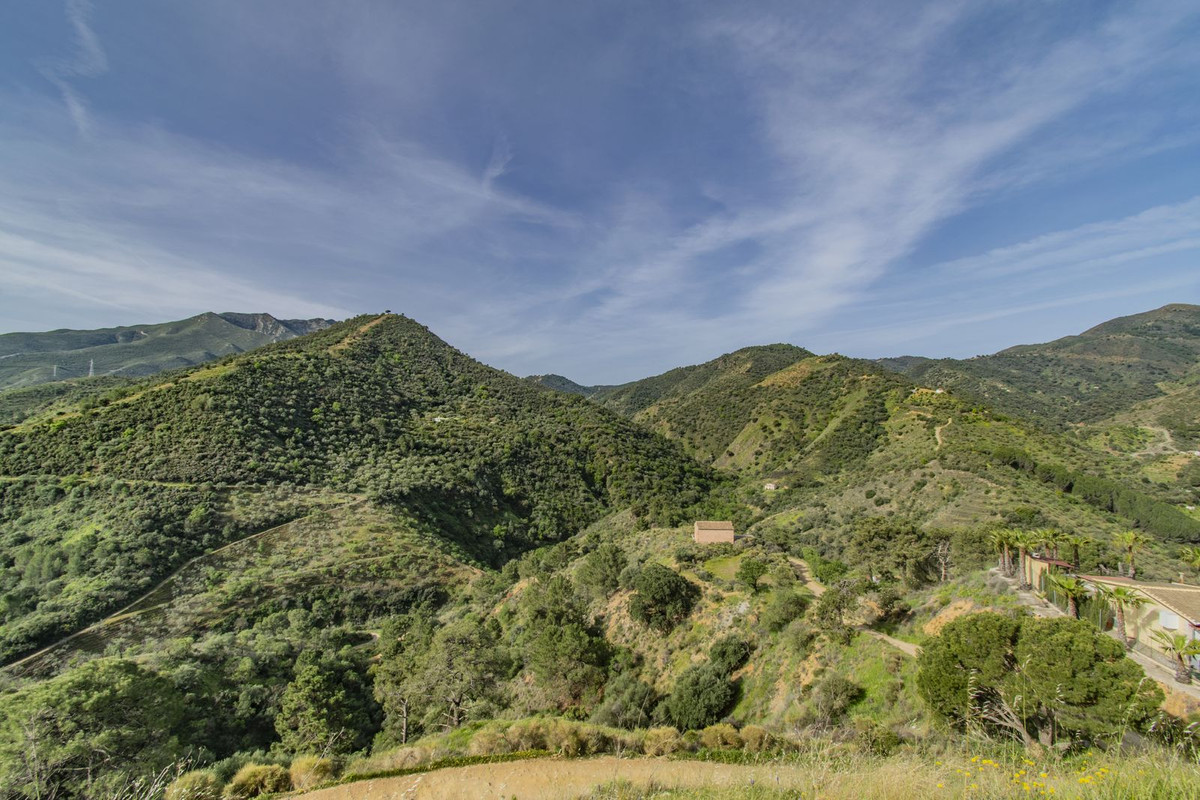 Property main view 24