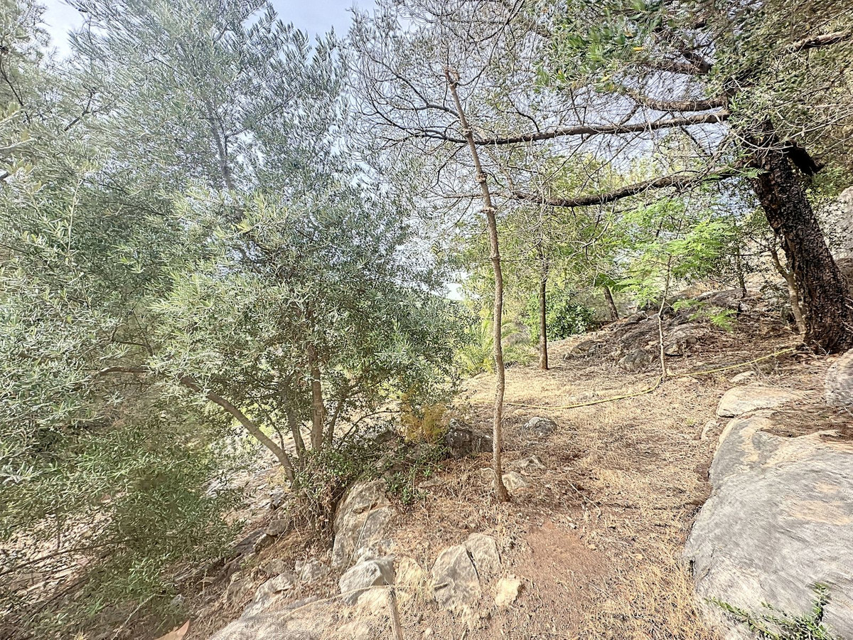 Property main view 37