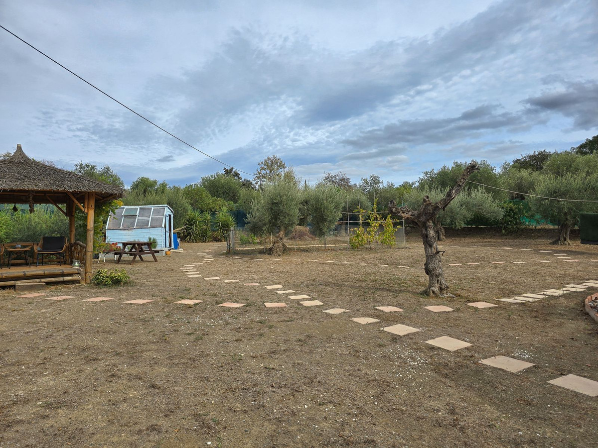 Finca - Cortijo in Monda-36