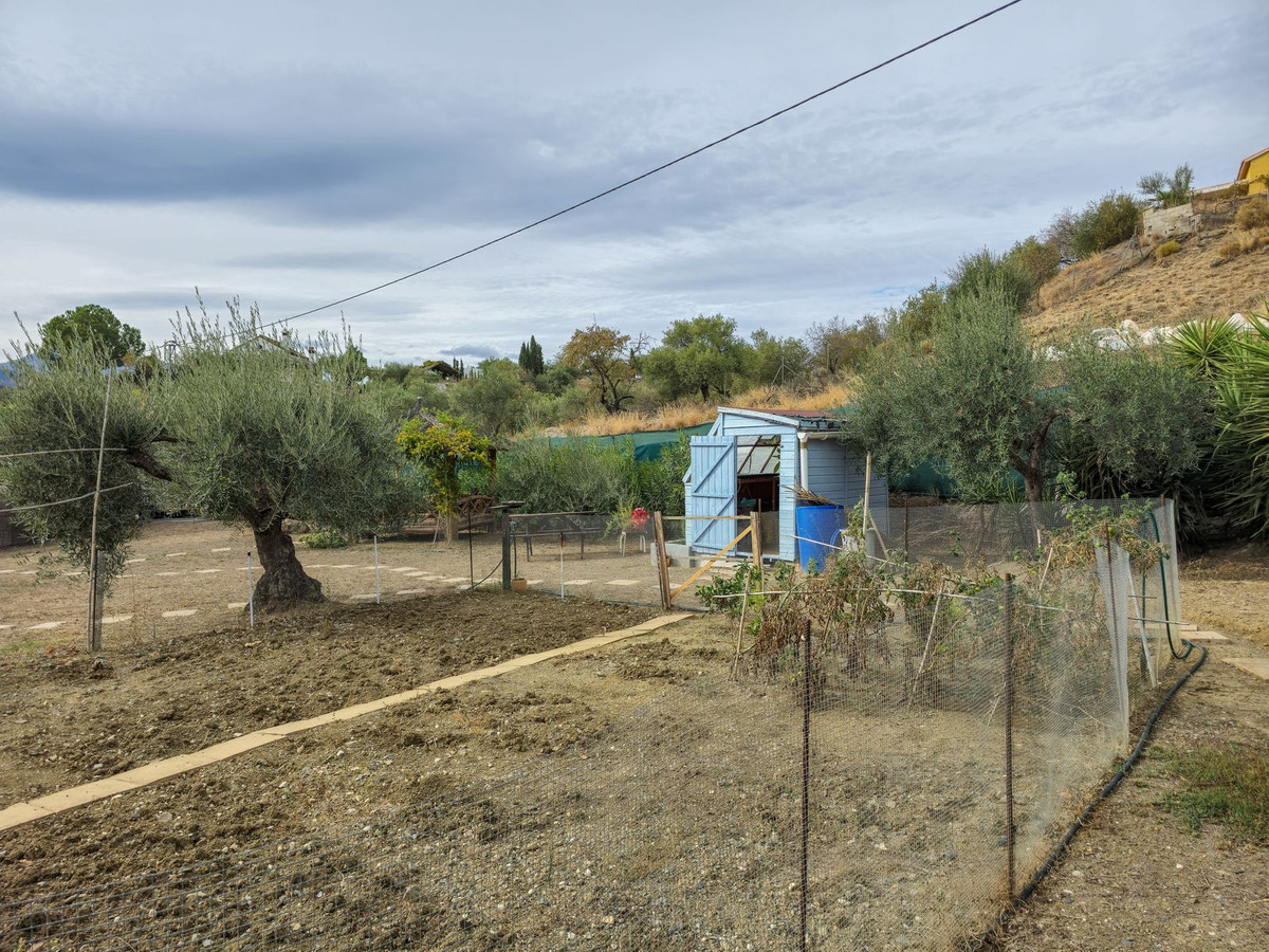 Finca - Cortijo in Monda-45