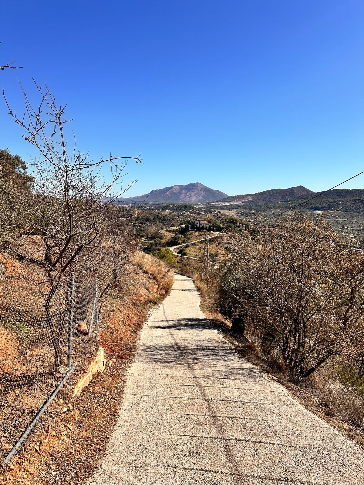 Finca - Cortijo in Monda-12