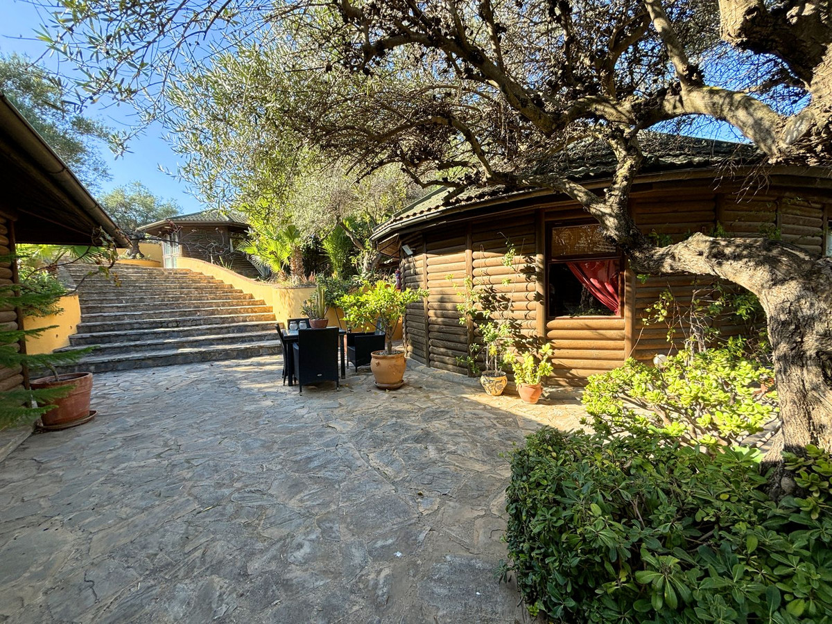 Finca - Cortijo in Monda-25