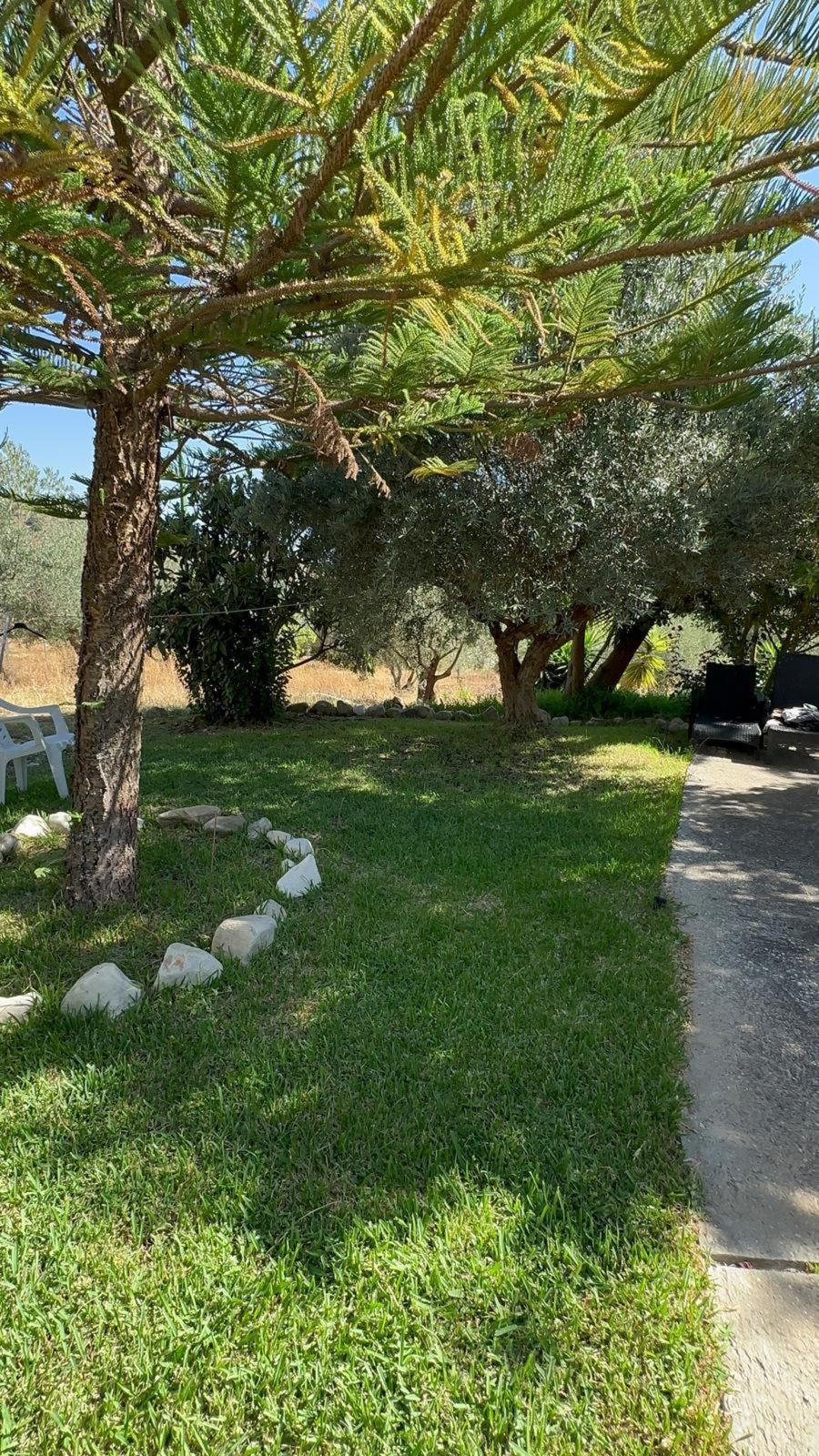 Finca - Cortijo in Monda-8