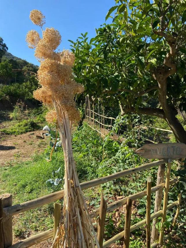Finca - Cortijo te koop in Monda | 9 slaapkamers H5046922