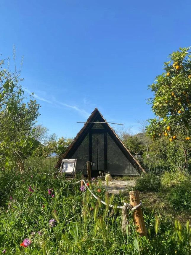 Finca - Cortijo te koop in Monda | 9 slaapkamers H5046922