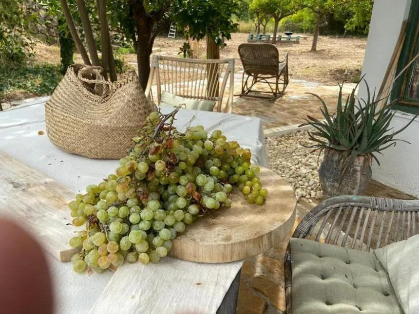 Finca - Cortijo te koop in Monda | 9 slaapkamers H5046922