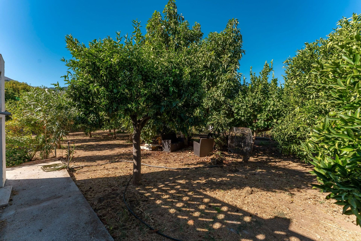 Property main view 34