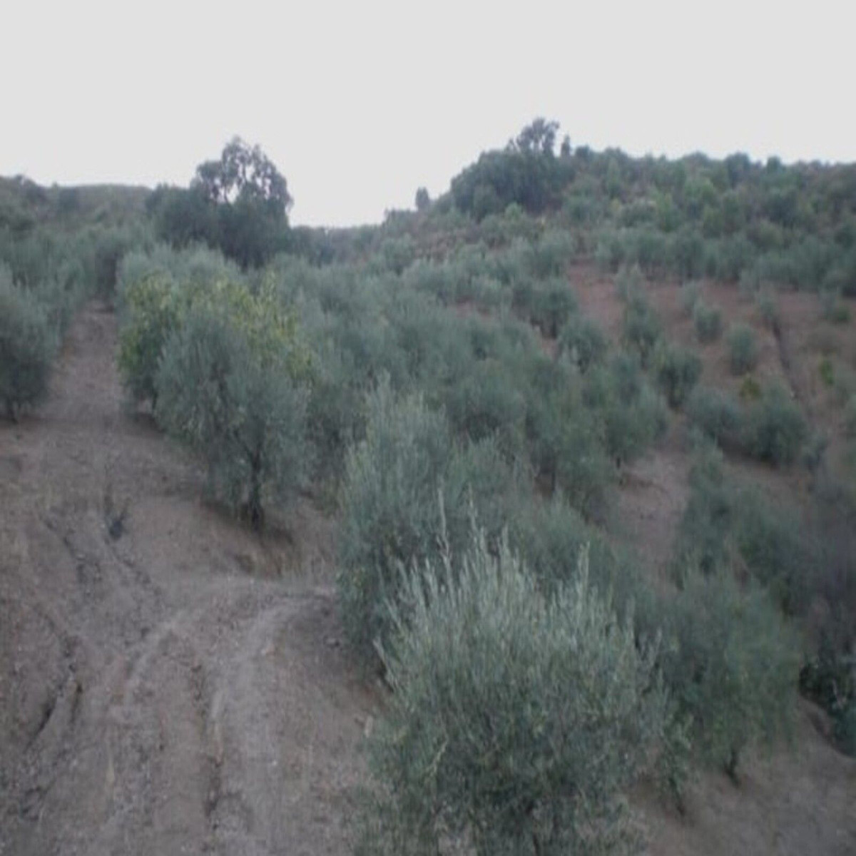 Property main view 10