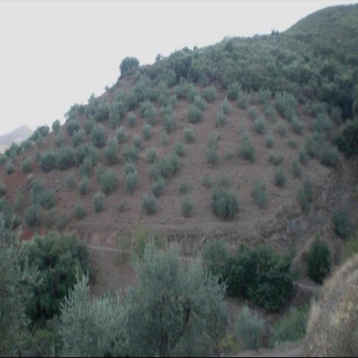 Property main view 6