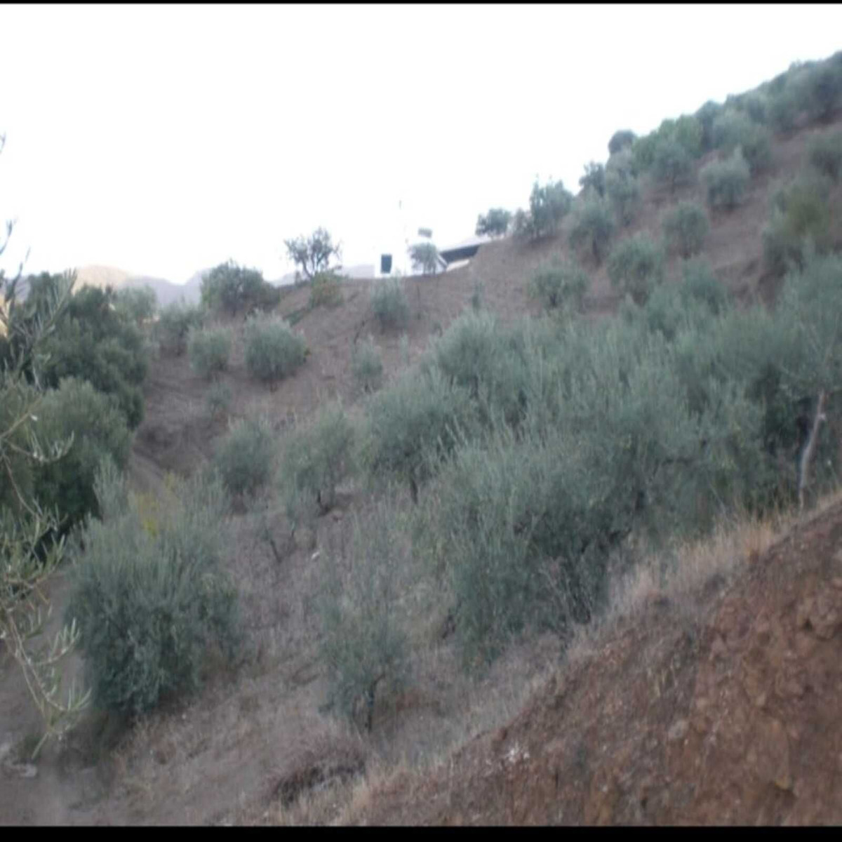 Property main view 7