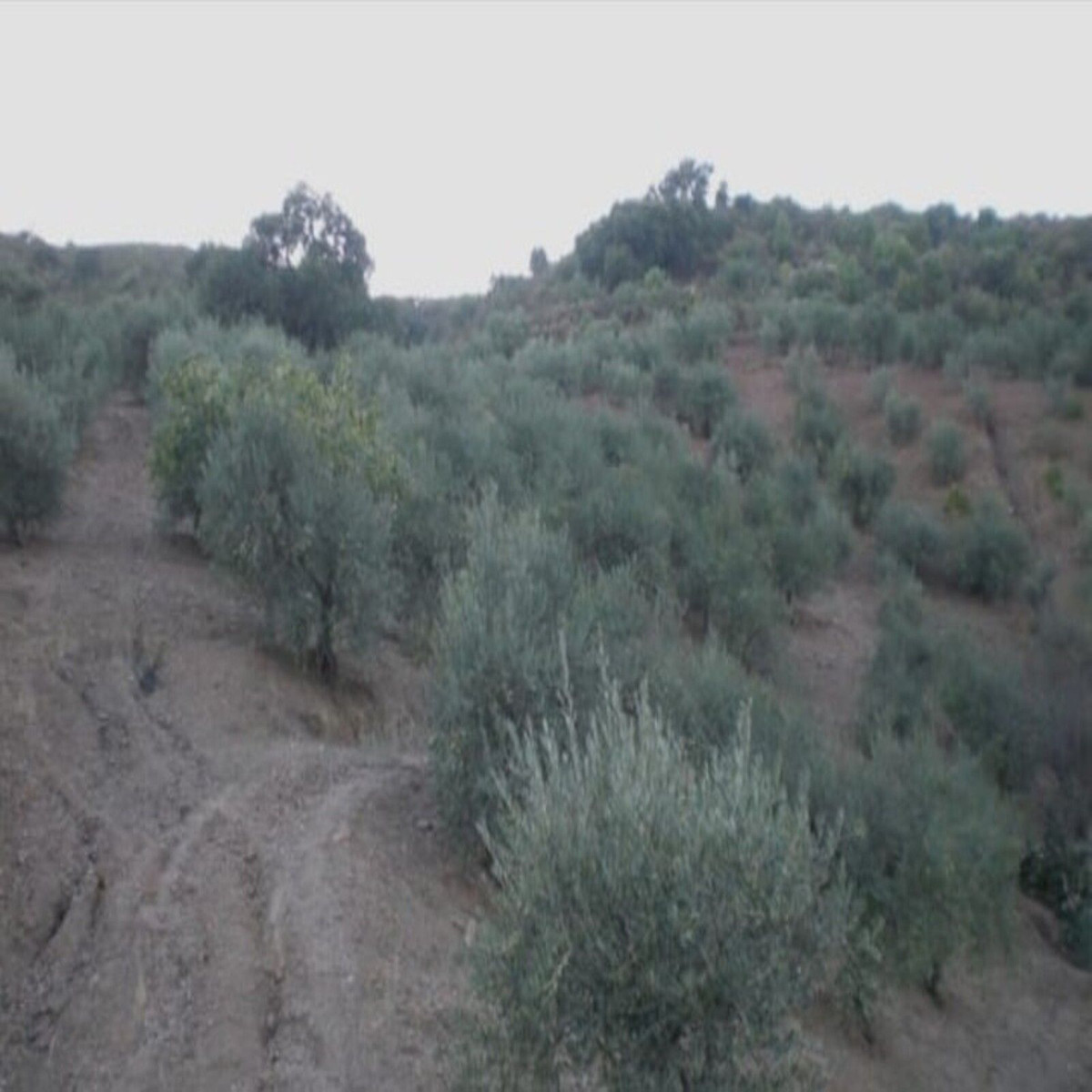 Property main view 8