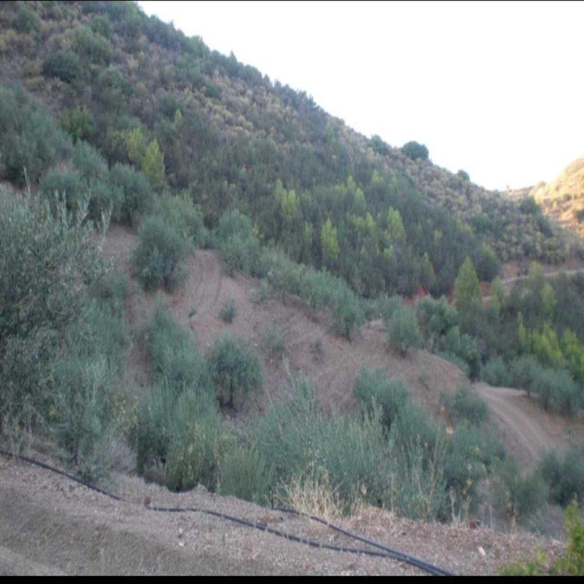 Property main view 9