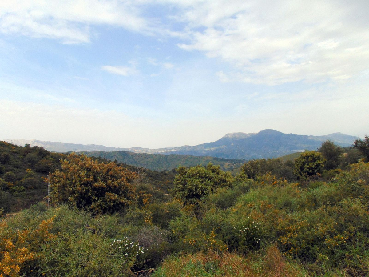 Finca - Cortijo te koop in Monda | 3 slaapkamers H5351515