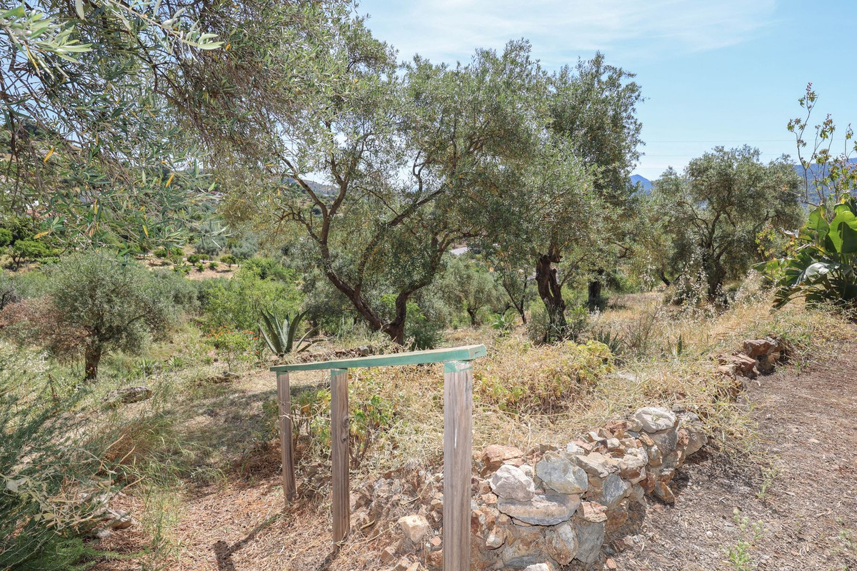 Property main view 37