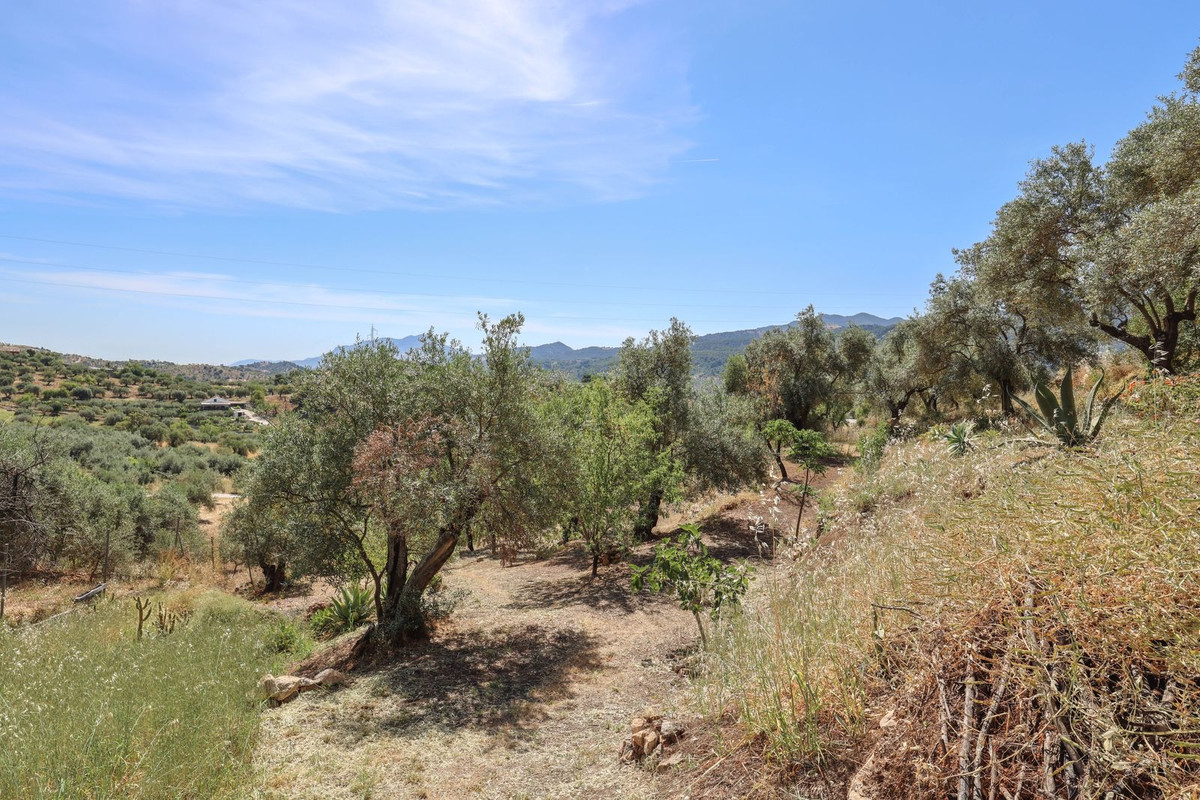 Property main view 43