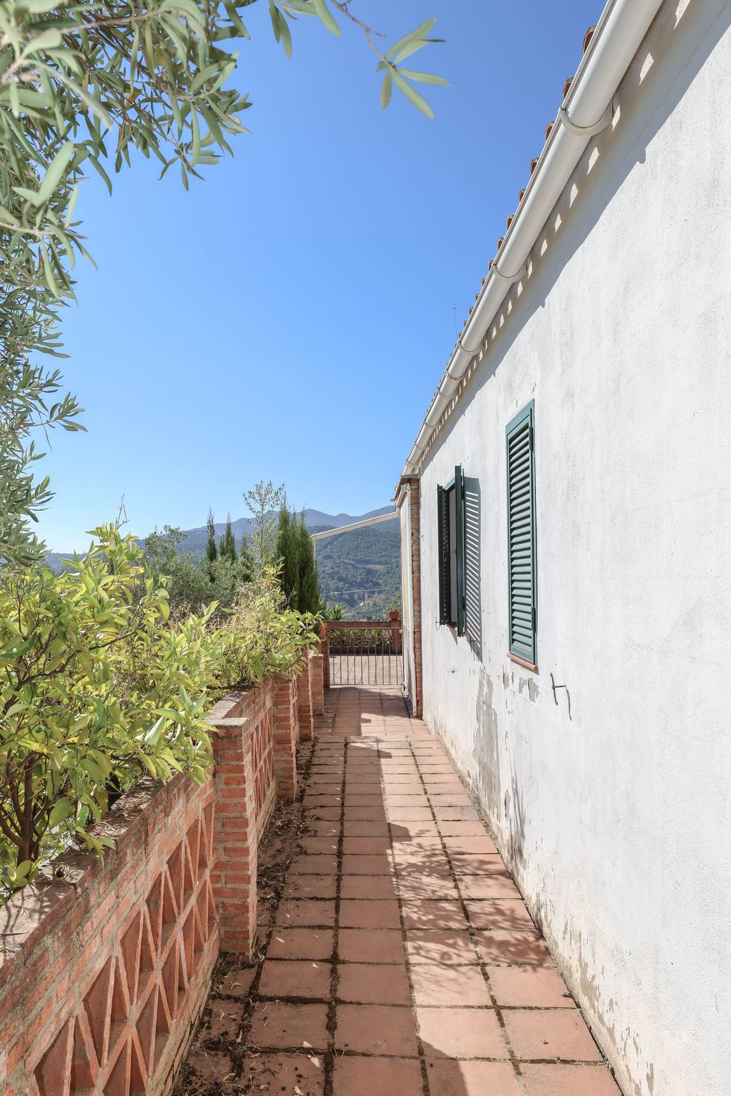 Property main view 62