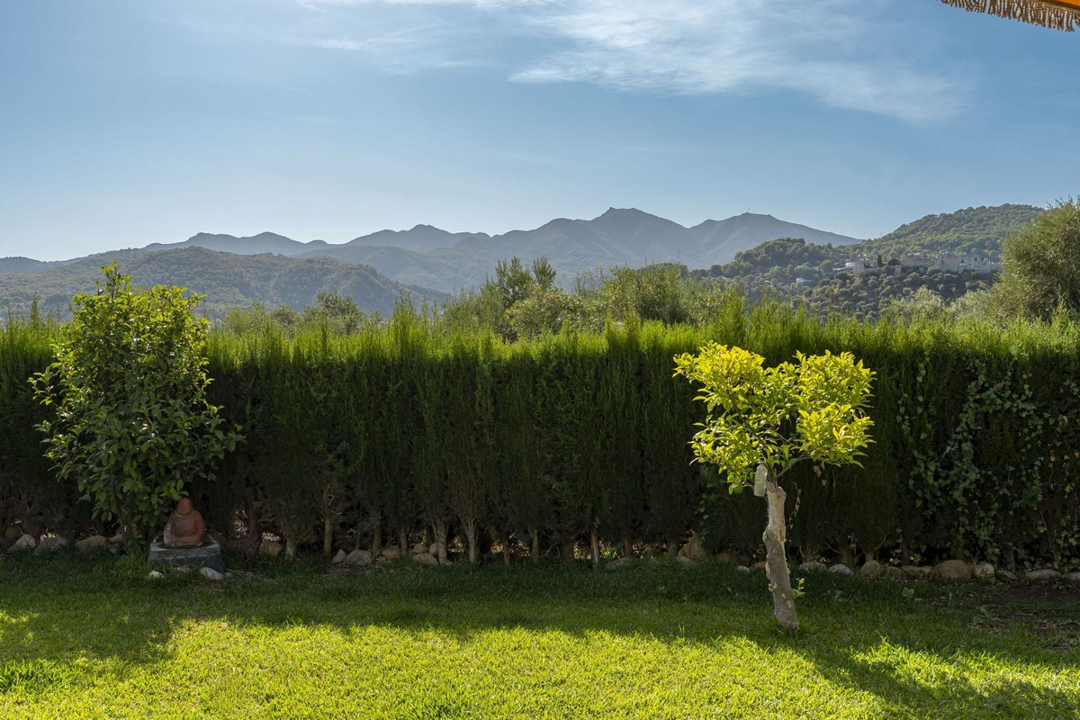 Property main view 39