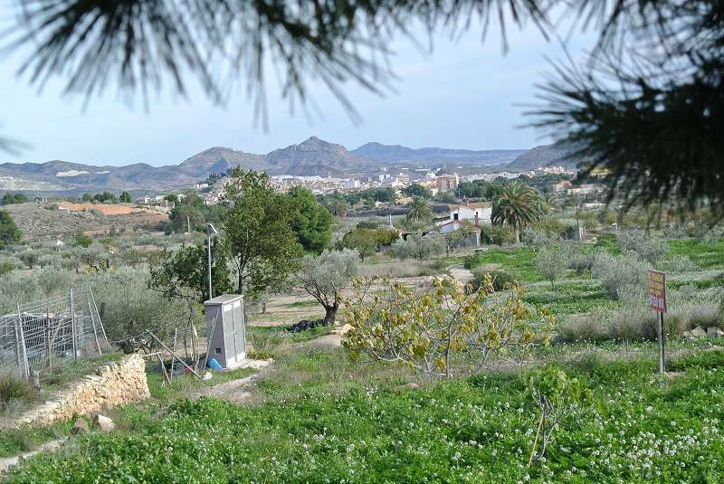 Finca - Cortijo te koop in Monóvar | 4 slaapkamers H5248705