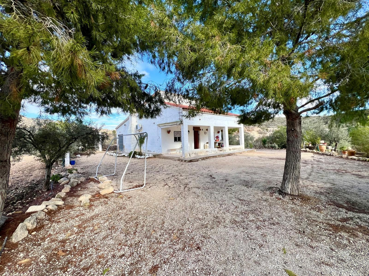Finca - Cortijo te koop in Monóvar | 3 slaapkamers H5256655