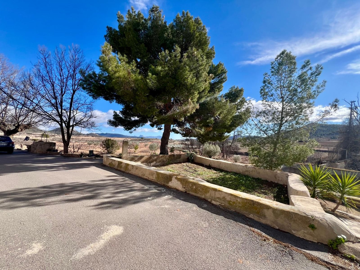 Finca - Cortijo te koop in Monóvar | 6 slaapkamers H5342533