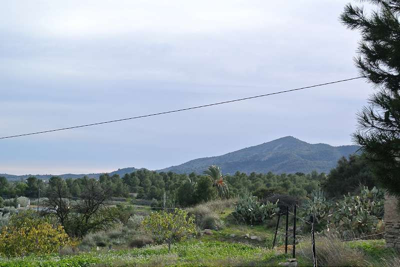 Property main view 7