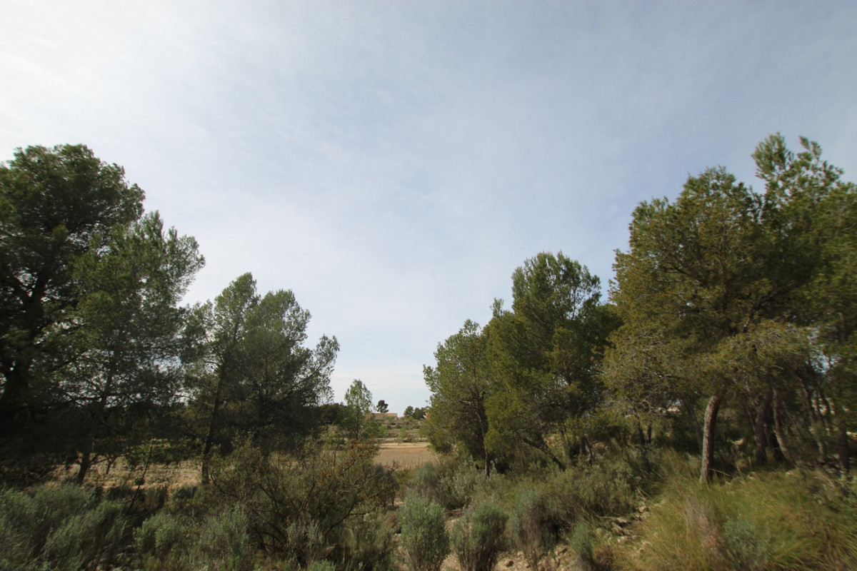 Finca - Cortijo te koop in Monóvar | 1 slaapkamers H5374282