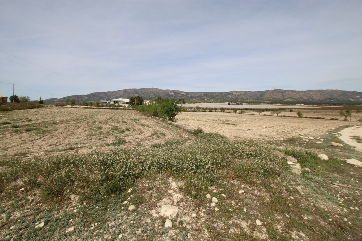Finca - Cortijo te koop in Monóvar | 1 slaapkamers H5374282