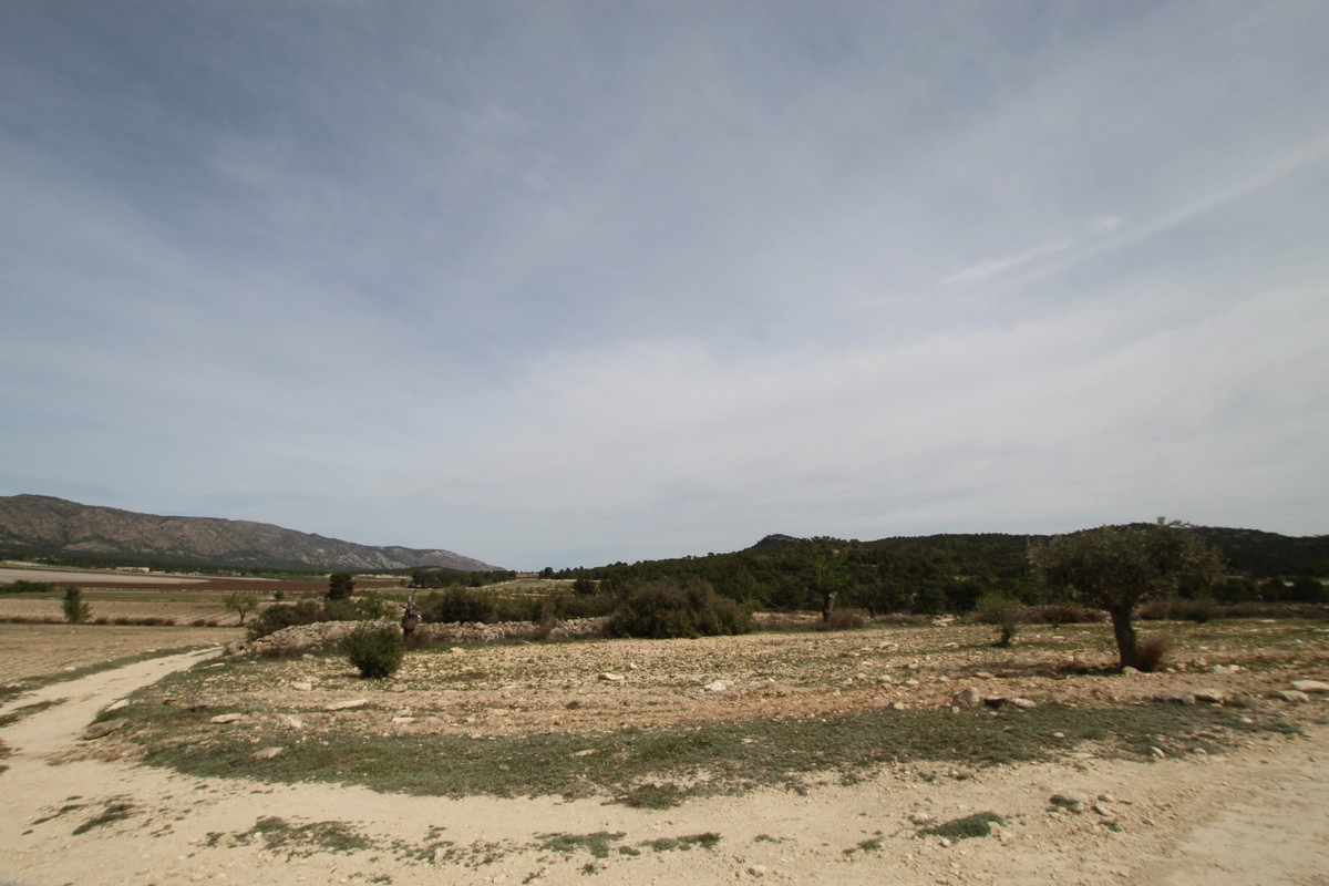 Finca - Cortijo te koop in Monóvar | 1 slaapkamers H5374282