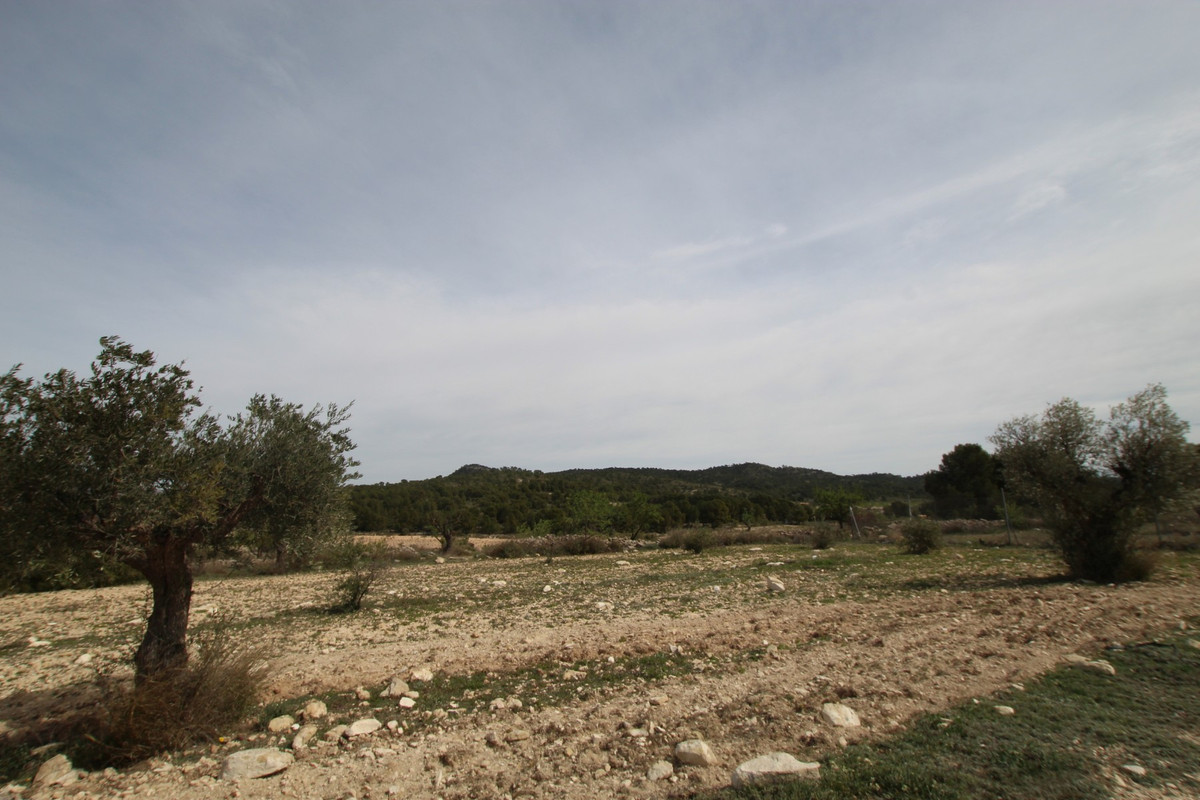 Finca - Cortijo te koop in Monóvar | 1 slaapkamers H5374282