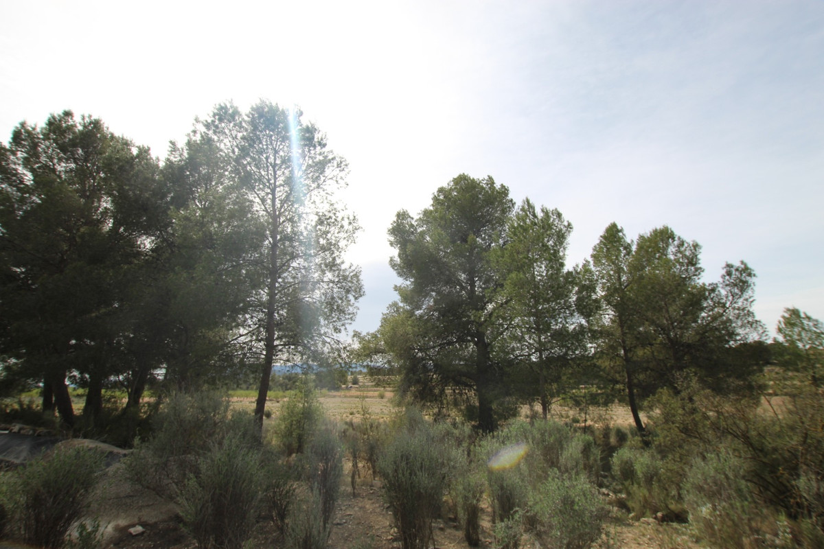 Finca - Cortijo te koop in Monóvar | 1 slaapkamers H5374282