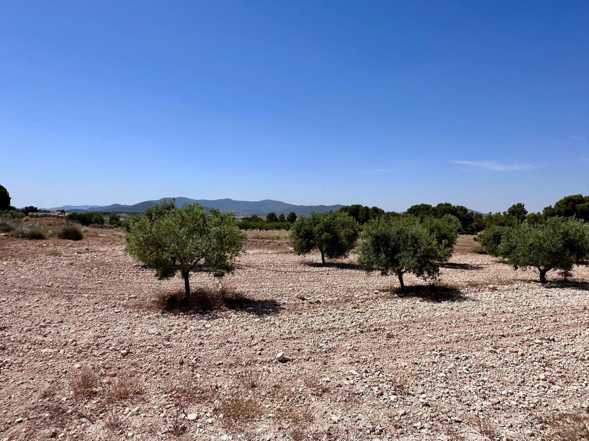 Property main view 10