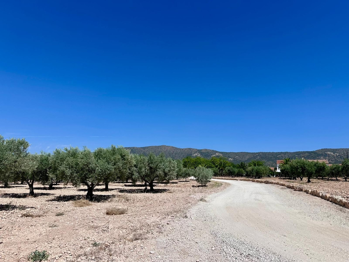 Property main view 7