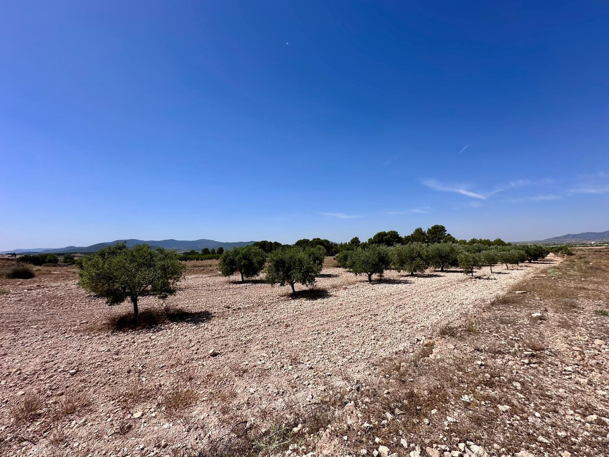 Property main view 9