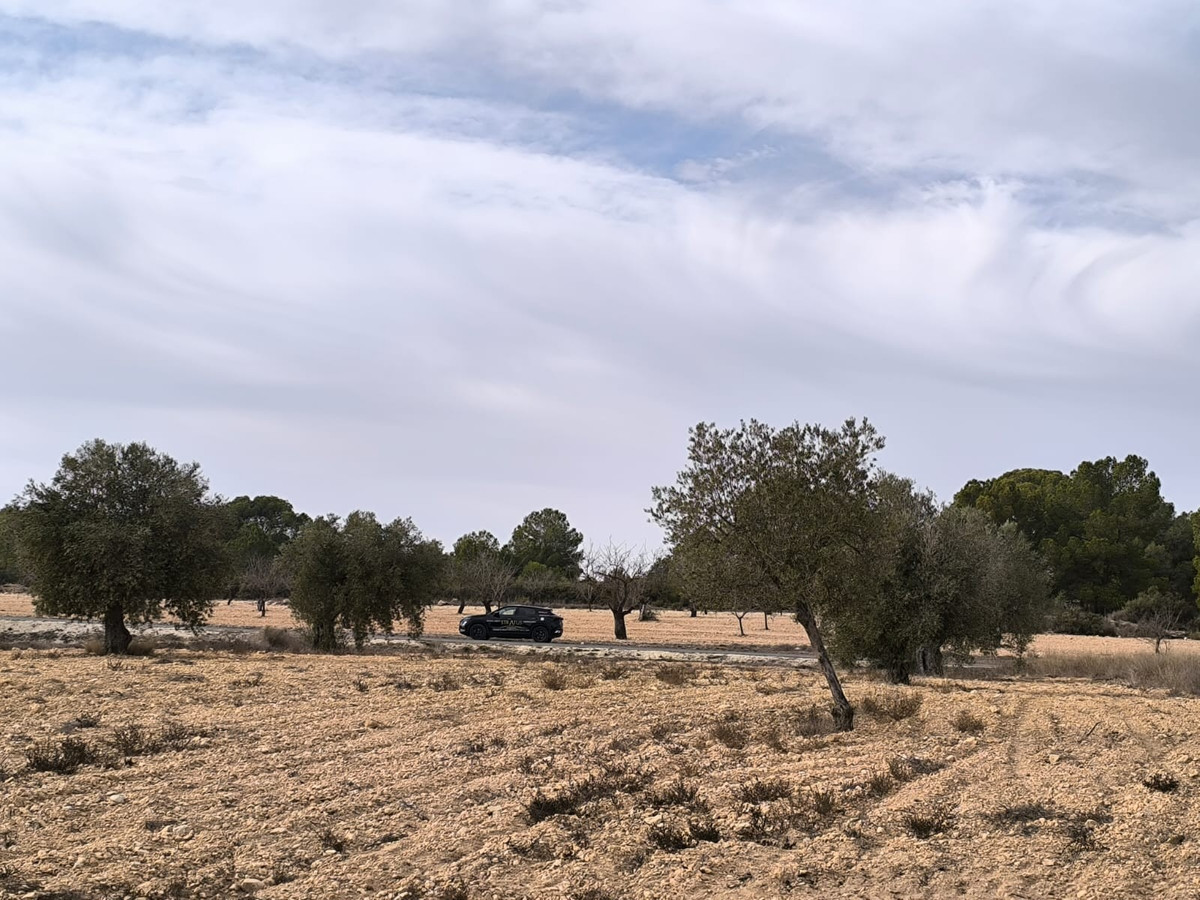 Property main view 8