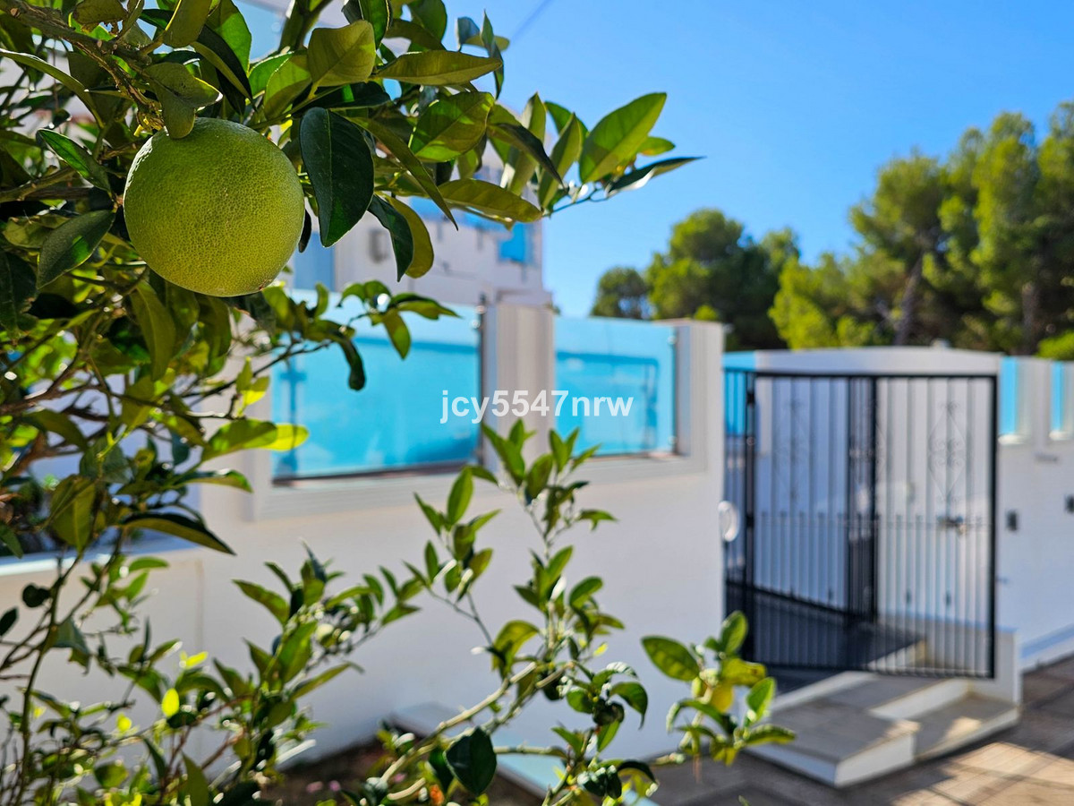 Property main view 64