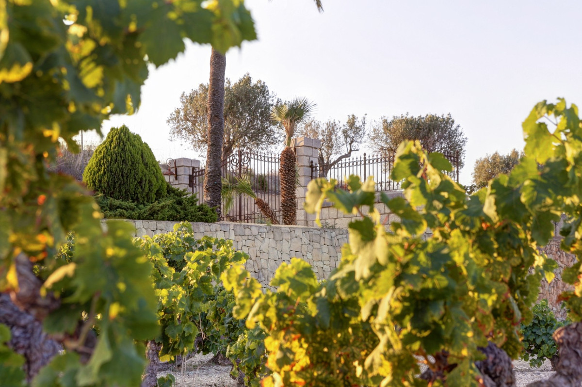 Property main view 43