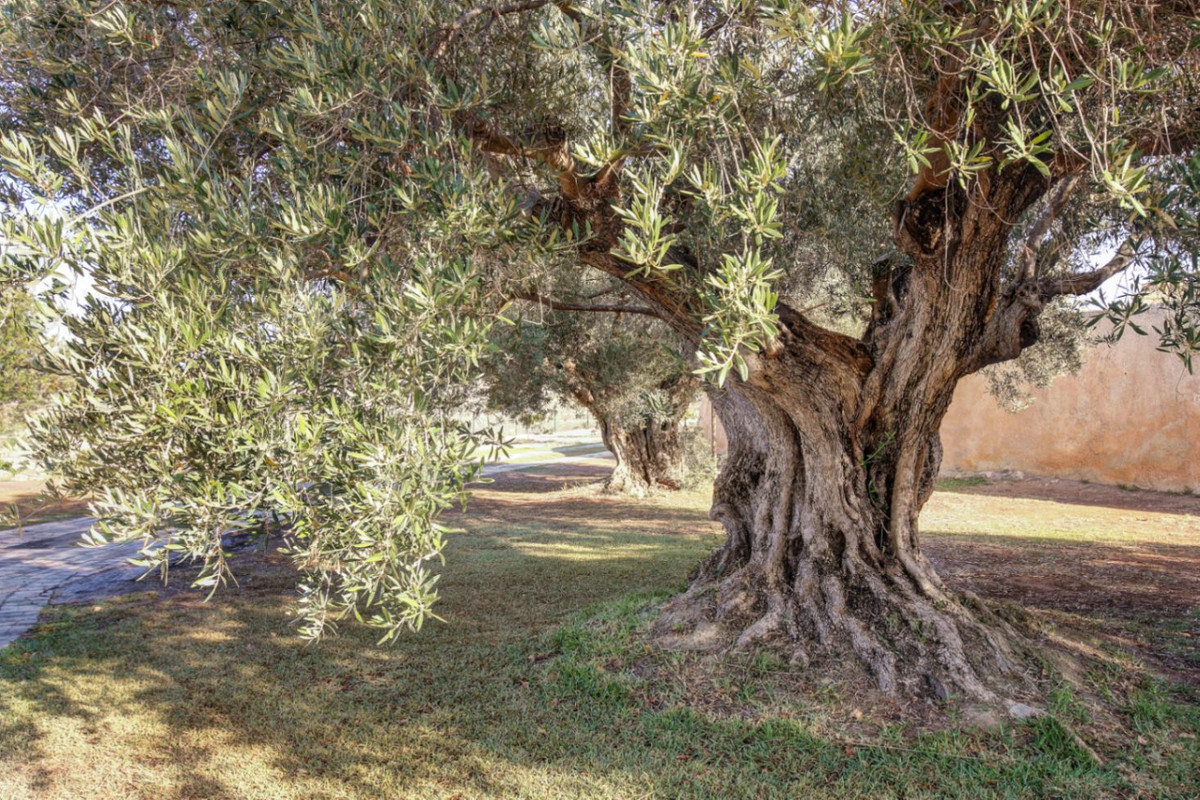 Property main view 44