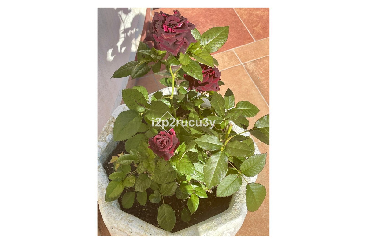 Huis te koop in Moraira | 4 slaapkamers H5304667