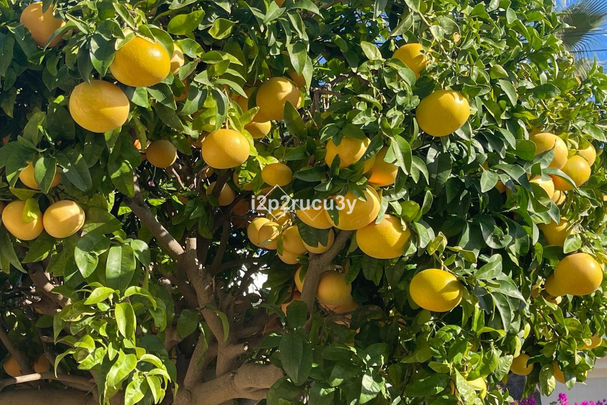 Huis te koop in Moraira | 4 slaapkamers H5304667